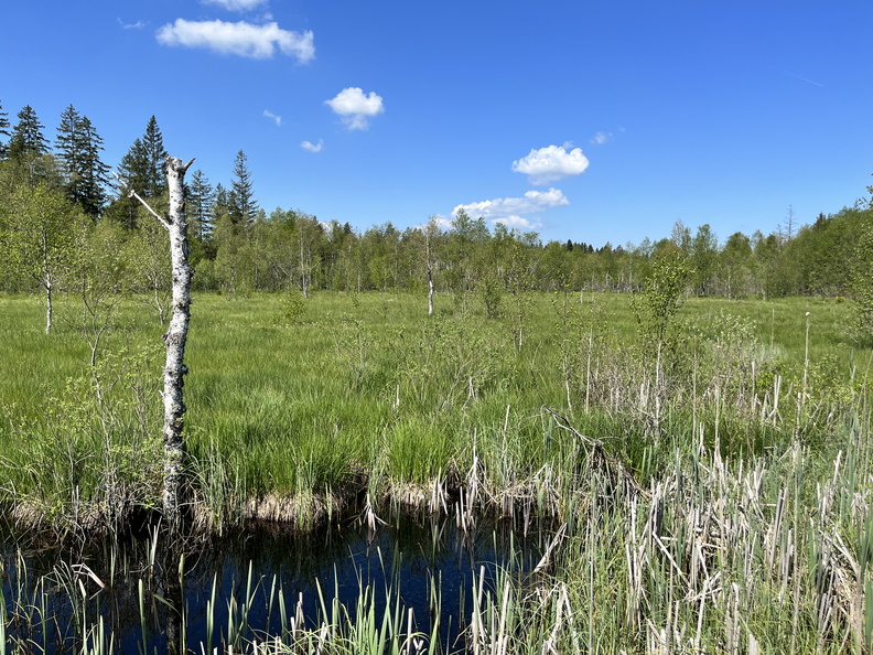 23-05-27 11-23-00 5724